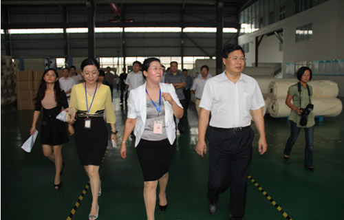 省委常委、合肥市委书记吴存荣莅临402cc永利登录主页公司参观考察
