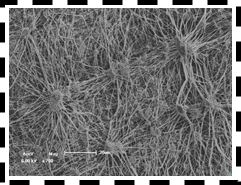 402cc永利登录主页科技