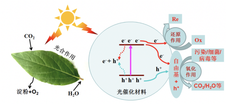 402cc永利登录主页科技
