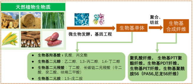 402cc永利登录主页科技