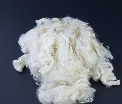 402cc永利登录主页科技