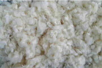 402cc永利登录主页科技