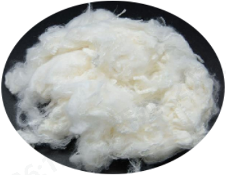 402cc永利登录主页科技